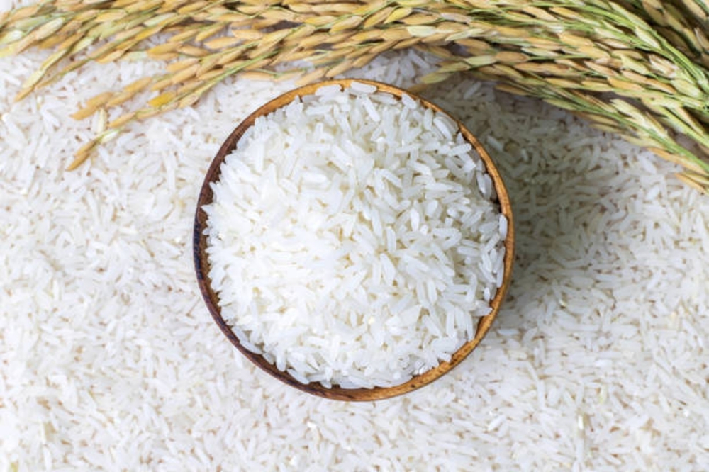 Rice